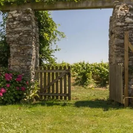 Confortable Au Coeur Des Vignes Avec Terrasse, Velos, Wifi Et Equipements Bebe A 17 Km De Nantes - Fr-1-306-808 * Chateauthebaud