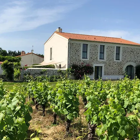 Hébergement de vacances Confortable Au Cœur Des Vignes Avec Terrasse, Vélos, Wifi Et équipements Bébé à 17 Km De Nantes - Fr-1-306-808 Chateauthebaud