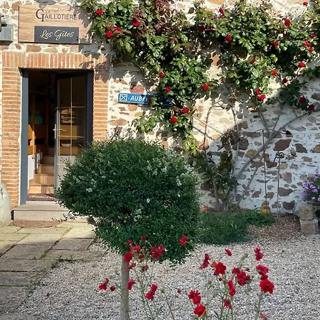 Vakantiehuis Confortable Au Coeur Des Vignes Avec Terrasse, Velos, Wifi Et Equipements Bebe A 17 Km De Nantes - Fr-1-306-808